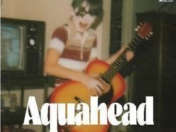 Image for Aquahead
