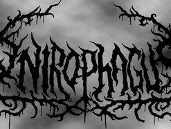 Image for Onirophagus