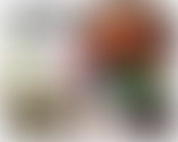 Deezy diablo ad feb2020