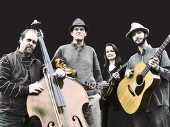 Image for The Kenney-Blackmon String Band