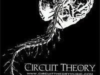 Image for Circuit Theory