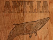 Antlia