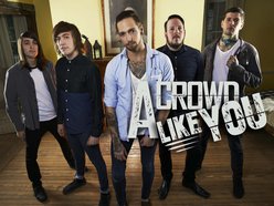 Image for A Crowd Like You