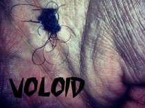 Voloid