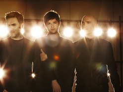 The Script