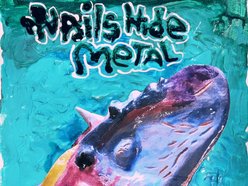 NAILS HIDE METAL