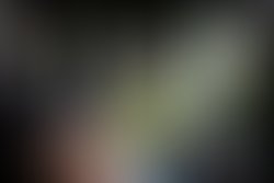 Artist 22107 1413316786