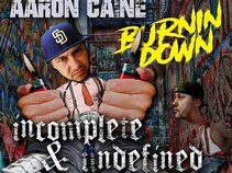 Aaron Caine