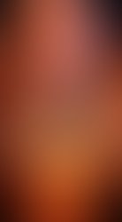 Whatsapp image 2023 07 24 at 19 30 48