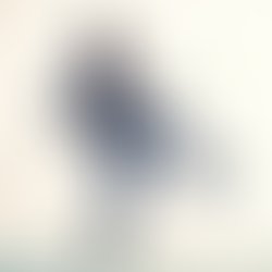 Artist 221483 1464277870