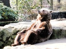 SabanacThe Bear