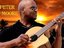 Peter Moore Music (Artist)