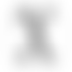 Xiphea x logo profil