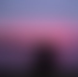 1332805438 shadow