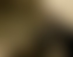 1325188137 ridwan 01 by pudji suryadi