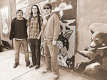 The Solar Bears
