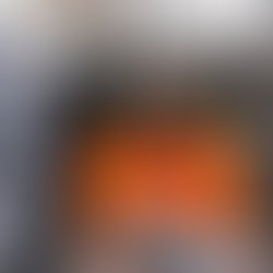 Artist 2229123 1728742860