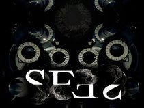 SEES