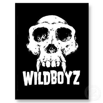 The Wild Boyz | ReverbNation