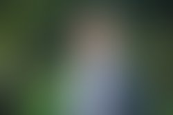 9ef9ff7627c2ecdf50045109bdfe4d193234cdc8