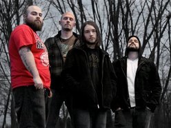 Image for Group Therapy
