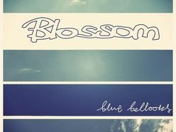 Blossom