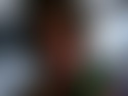 Img bg out 1754171952621 