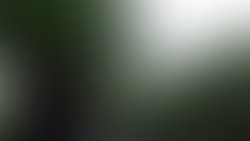 Dsc01132