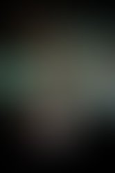 1325277101 vandaveer 2010   sarah law photographer lo res