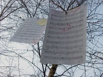 8top l' album communautaire