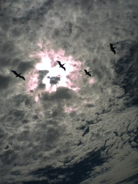ReverbNation profile picture for @cranes