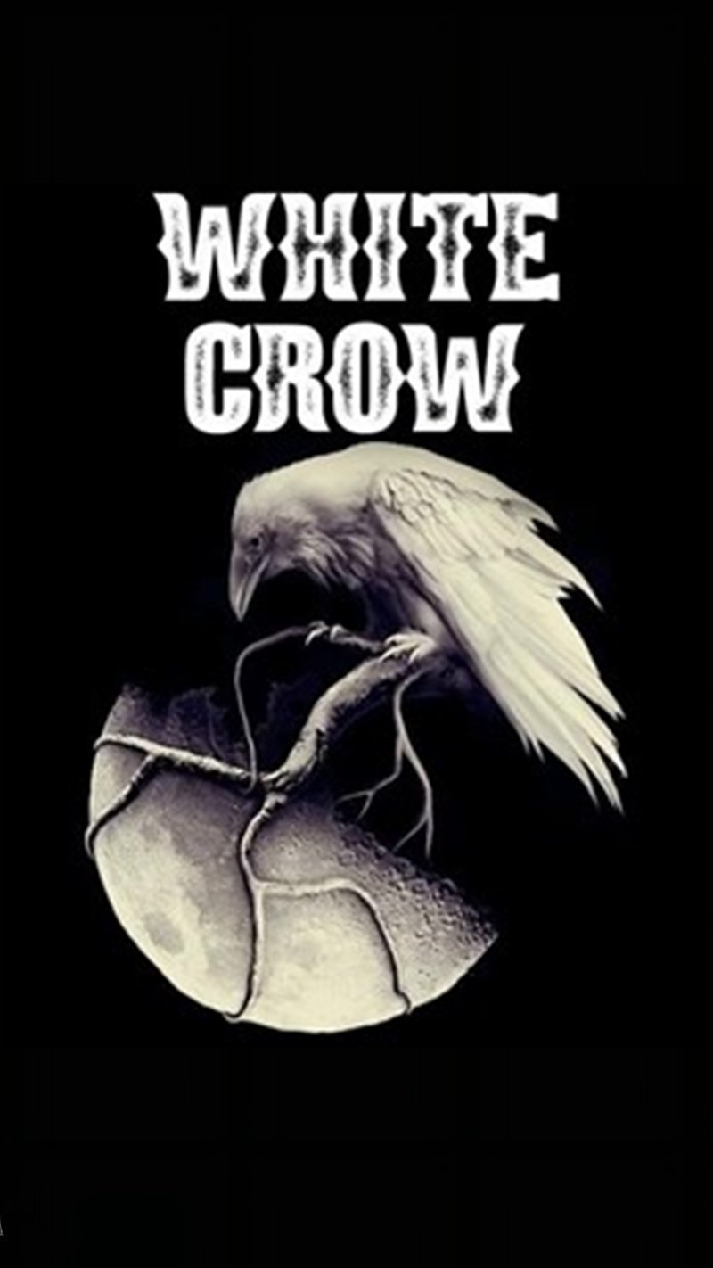 邦楽 white crow amuse White Crow | ReverbNation
