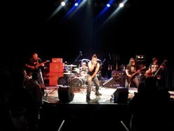 Image for Plague The Victim