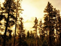 Darrell Bennett Music