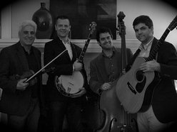 Image for Thompson Brothers Band