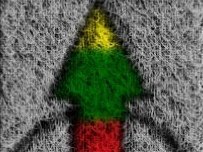Endogenic
