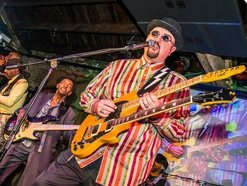 Image for Chicago Slim