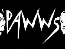 PAWWS