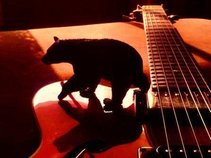 Black Bears