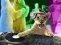 Coprcougar