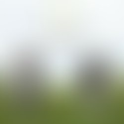 1c134d9787907db76fad05cfa31f23792f9f04f9