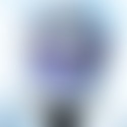 1376208206 walker