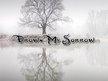 Drown My Sorrow