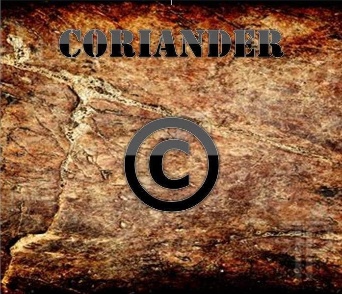ReverbNation profile picture for @coriander