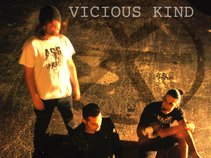Vicious Kind
