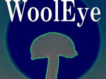 WoolEye
