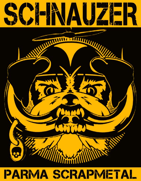 ReverbNation profile picture for @schnauzer