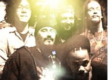Rebel Lionz