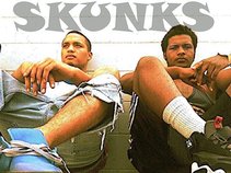 Skunks
