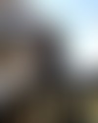 13055905 10156844611515383 8608943580364240671 o